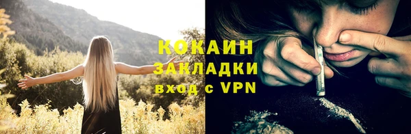 ГАЛЛЮЦИНОГЕННЫЕ ГРИБЫ Белокуриха