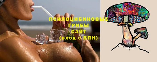 ГАЛЛЮЦИНОГЕННЫЕ ГРИБЫ Белокуриха