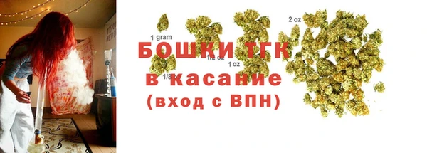 ГАЛЛЮЦИНОГЕННЫЕ ГРИБЫ Белокуриха