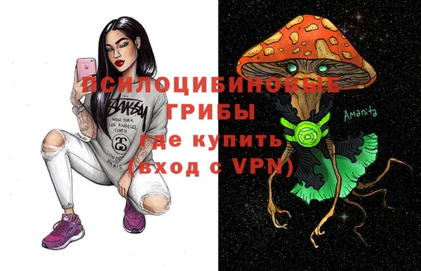 ГАЛЛЮЦИНОГЕННЫЕ ГРИБЫ Белокуриха