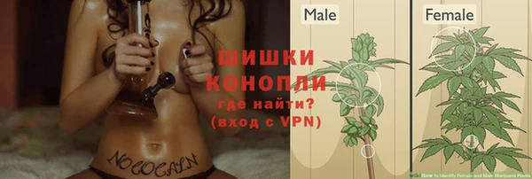ГАЛЛЮЦИНОГЕННЫЕ ГРИБЫ Белокуриха