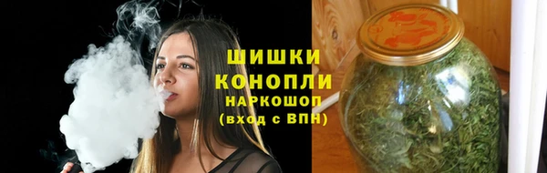 ГАЛЛЮЦИНОГЕННЫЕ ГРИБЫ Белокуриха