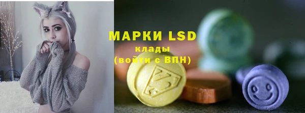ГАЛЛЮЦИНОГЕННЫЕ ГРИБЫ Белокуриха