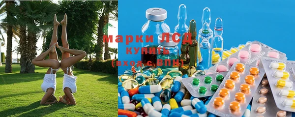 гидра Ельня