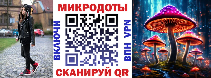 это официальный сайт Городовиковск Галлюциногенные грибы Psilocybe